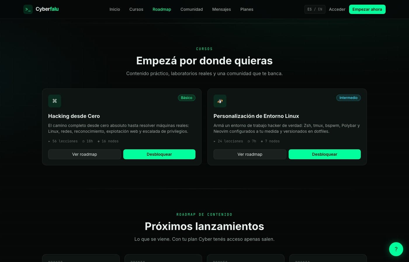 Comunidad y mentoría, adentro — Cyberfalu, desarrollo de software de insights apps
