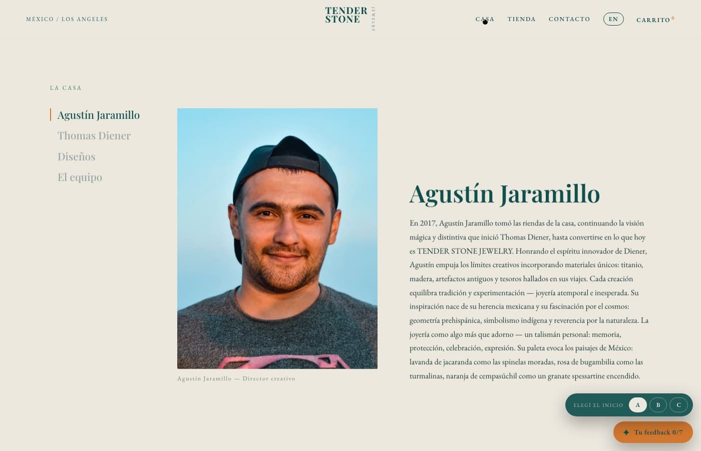 Acceso controlado — Tender Stone, desarrollo de software de insights apps